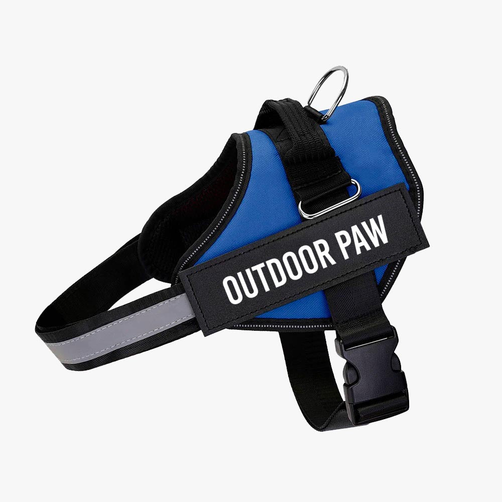 Blue OP™ Harness
