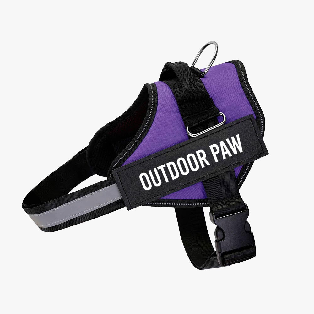 Purple OP™ Harness
